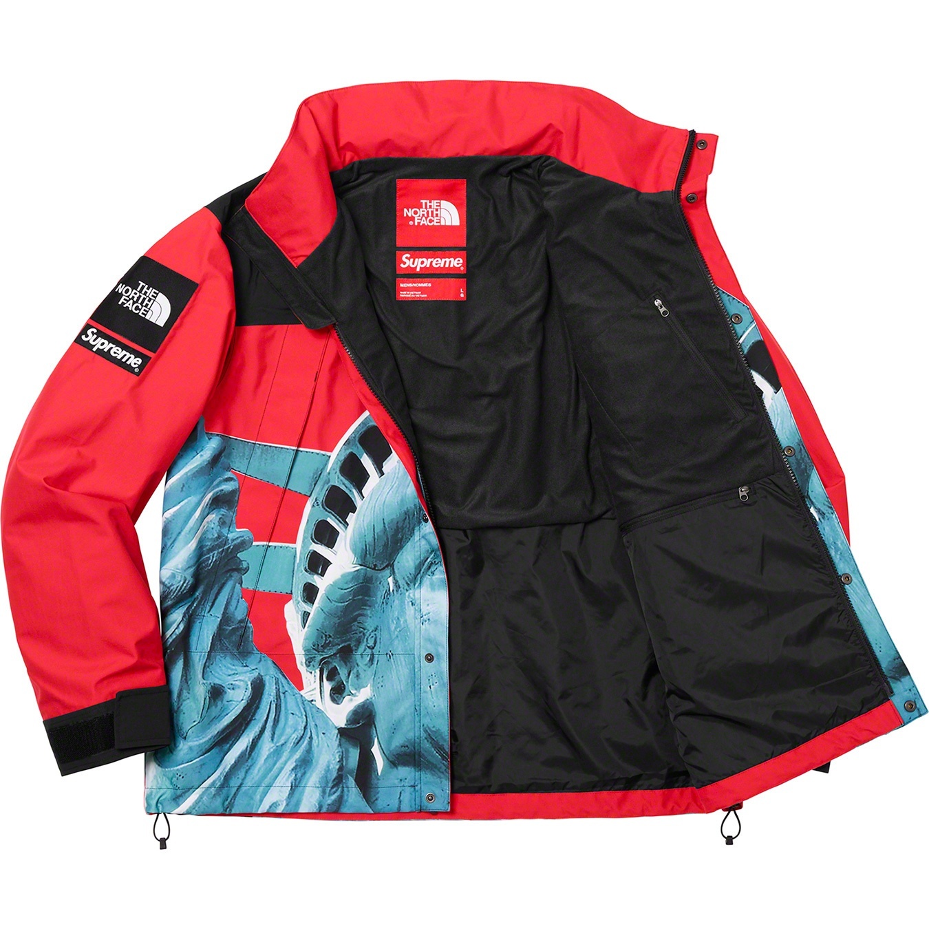 Supreme®/The North Face® Statue of Liberty Mountain Jacket view 4